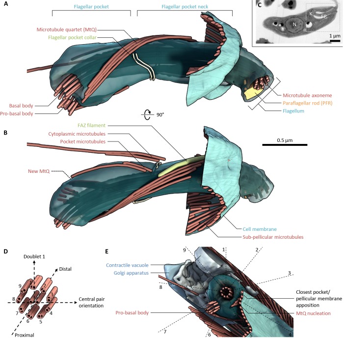 Fig. 2.