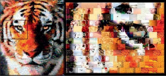 graphic file with name i1947-6094-13-2-85-f1006.jpg