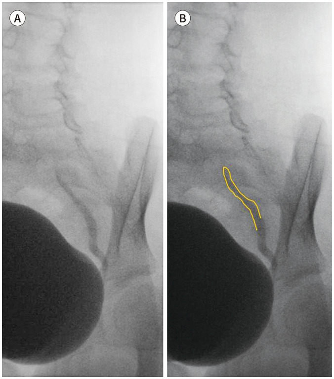 Fig. 8