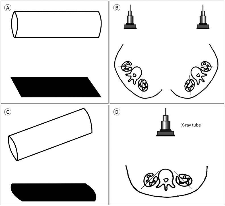 Fig. 21