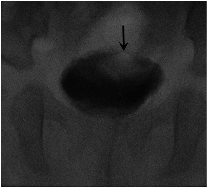 Fig. 5