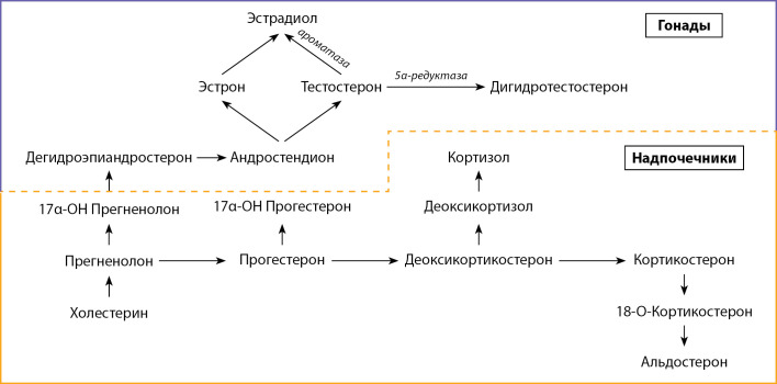 graphic file with name problendo-68-12742-g001.jpg