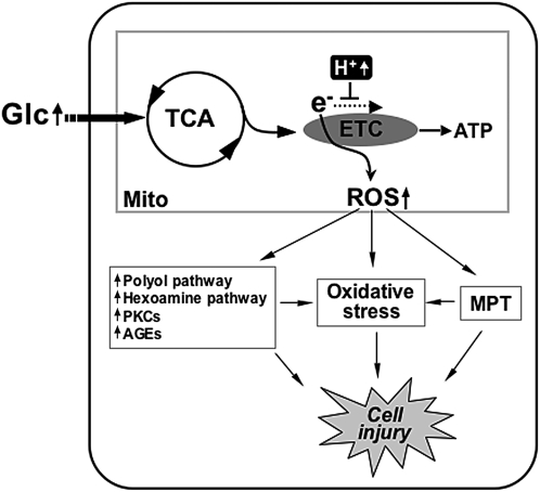 FIG. 6.