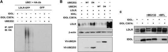 Figure 2.