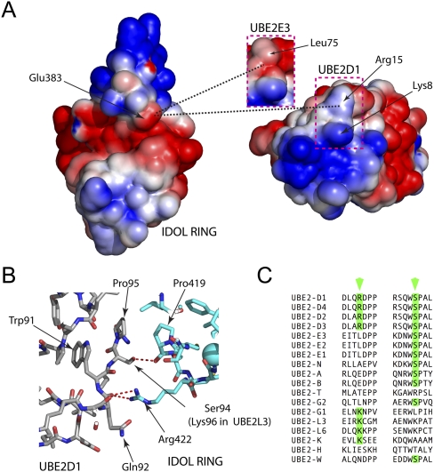 Figure 5.