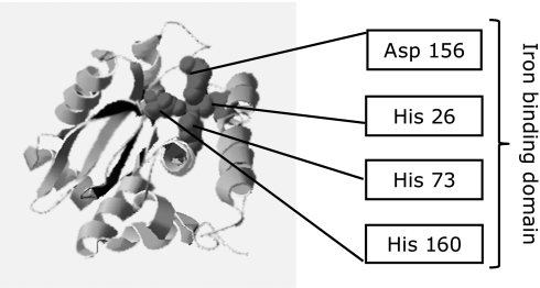 Fig. 1