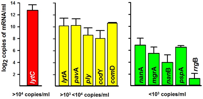 Figure 4