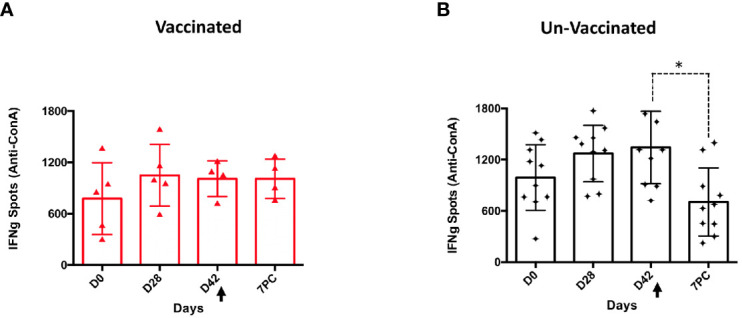 Figure 7