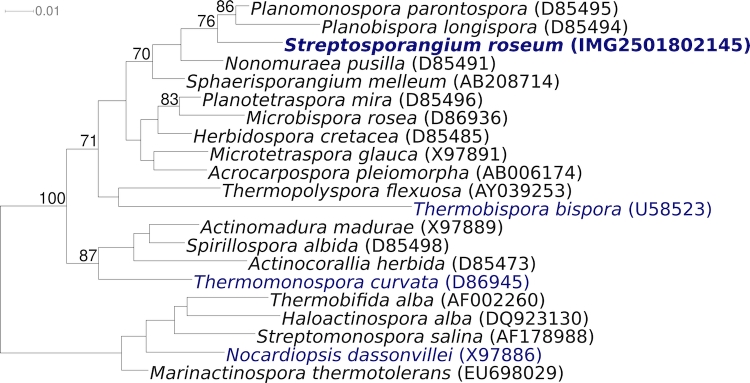 Figure 1b