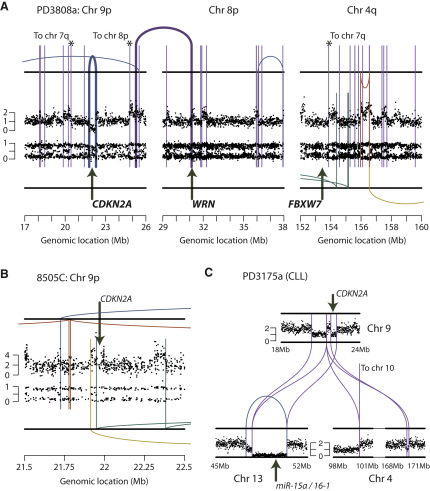 Figure 7