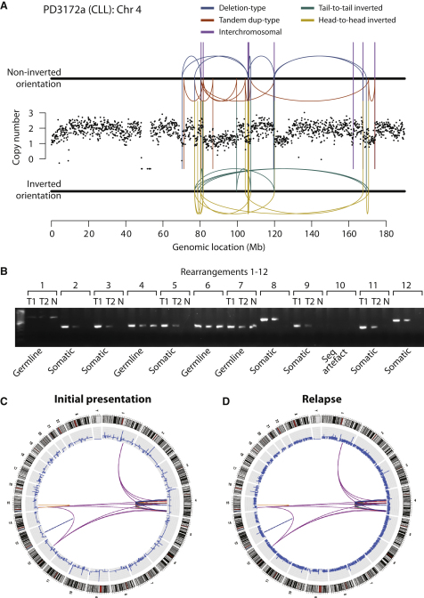 Figure 1