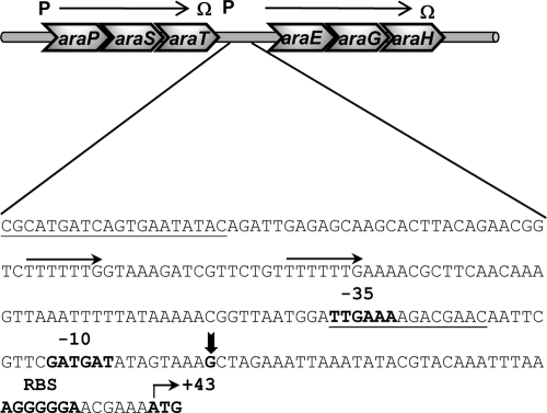 Fig. 3.