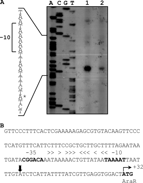 Fig. 9.