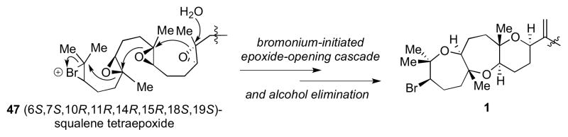 Scheme 12