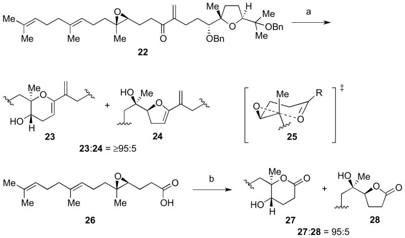 Scheme 4