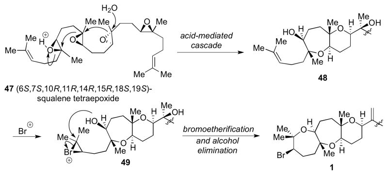 Scheme 11