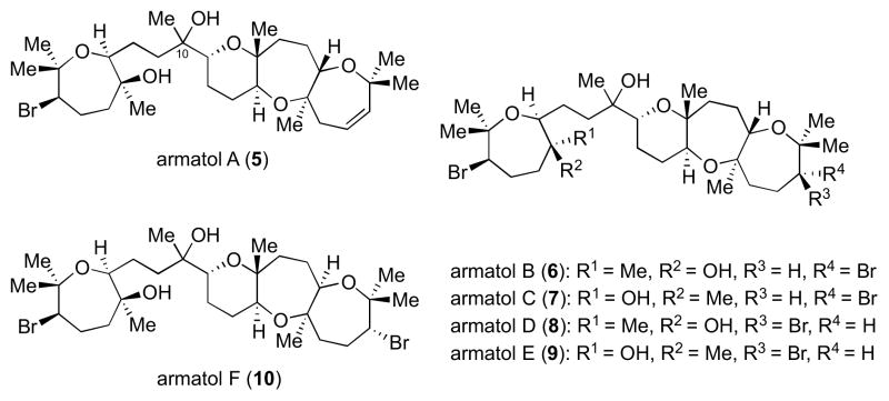 Scheme 17