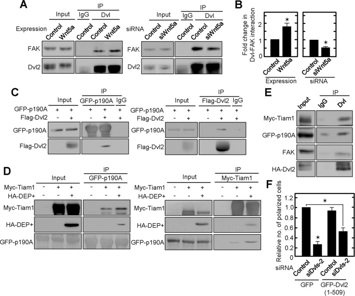 FIGURE 6: