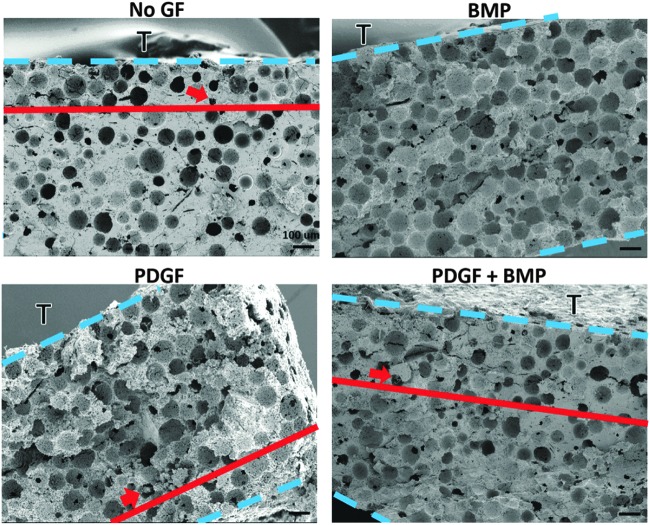 FIG. 11.