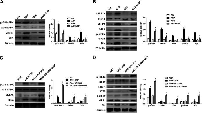 FIG 6