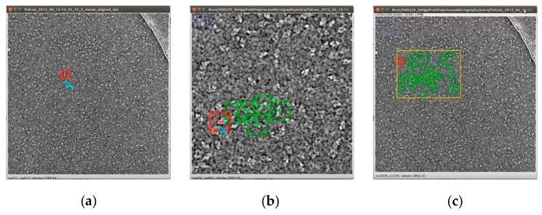 Figure 15