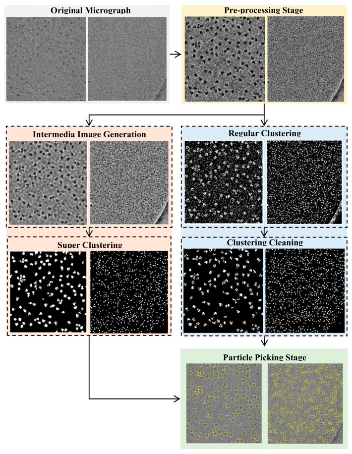 Figure 13