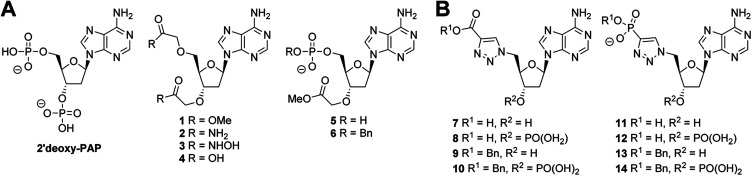 Fig. 3