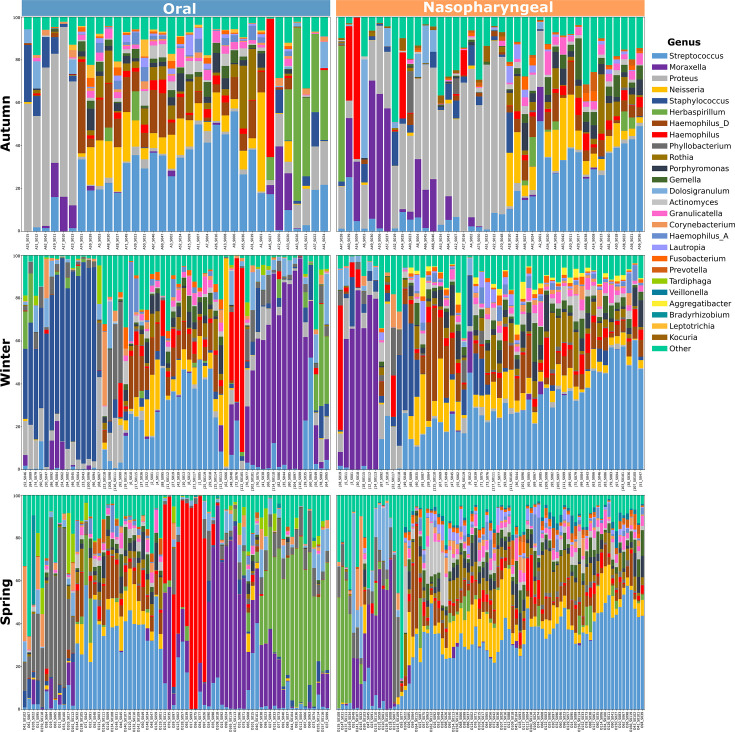 Stacked bar chart depicts genus-level composition in oral and nasopharyngeal samples across autumn, winter and spring. Seasonal shifts more pronounced in nasopharyngeal samples with variable genus dominance.