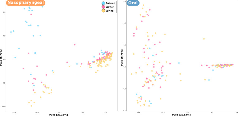 PCoA plots depict seasonal variation in nasopharyngeal and oral microbiomes. Nasopharyngeal samples depict greater spread across PCo1 axis, indicating higher seasonal shifts, while oral samples depict moderate overlap across all three seasons.