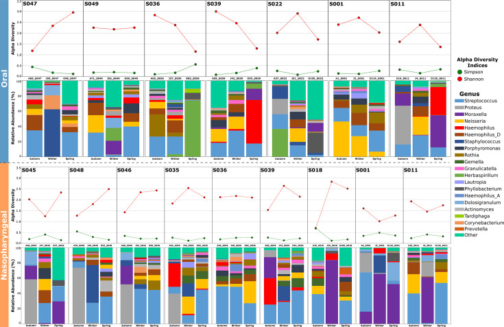 Line and bar charts depict seasonal alpha diversity and genus composition across oral and nasopharyngeal samples. Diversity trends vary individually, with Streptococcus and Proteus dominant in oral, and Moraxella and Haemophilus_D in nasopharyngeal.