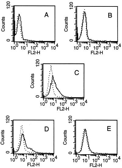 FIG. 5.