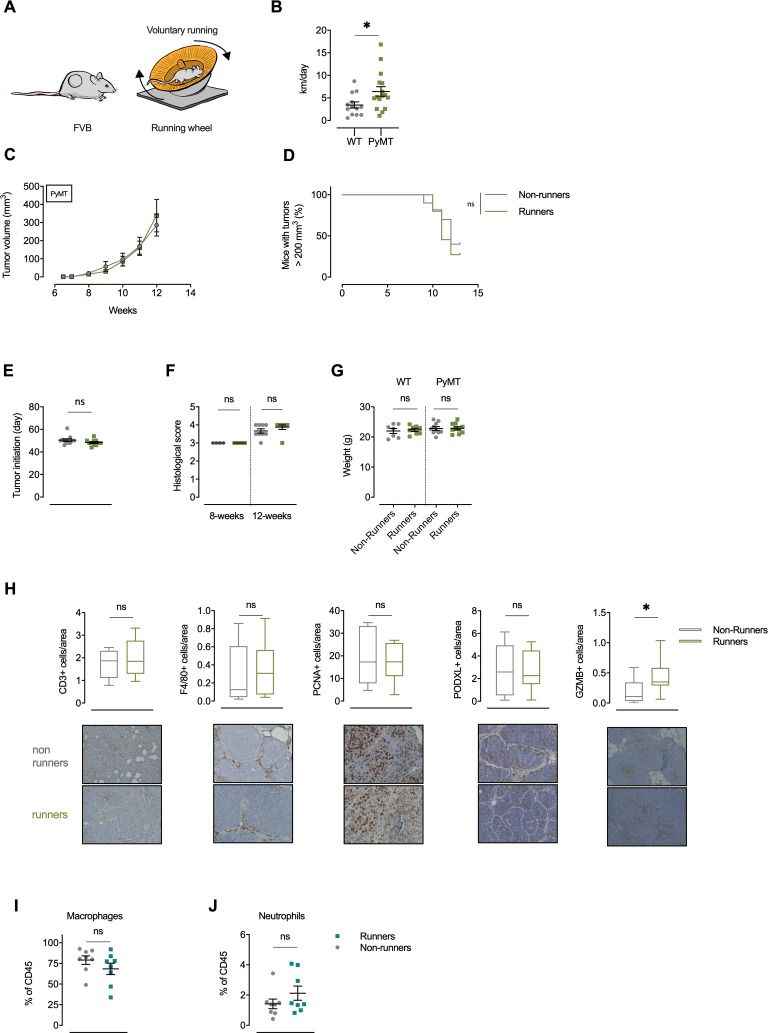 Figure 1—figure supplement 1.