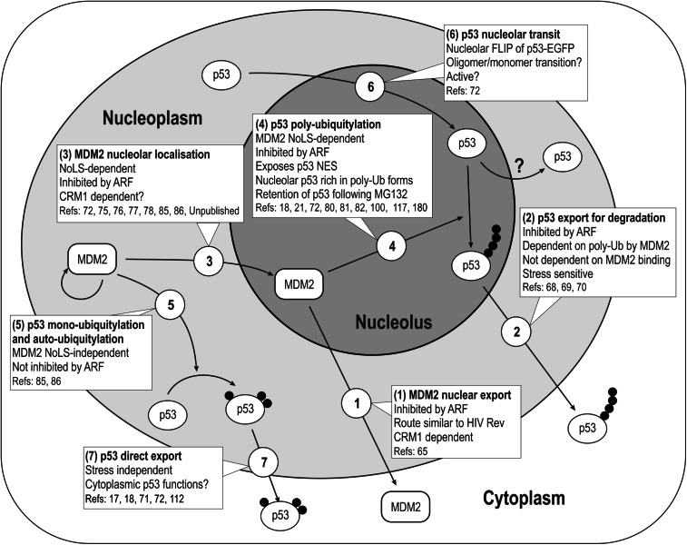 Fig. 3