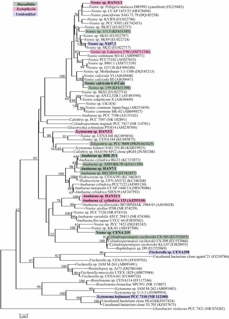 Figure 5