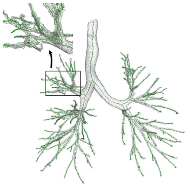 Fig. 8