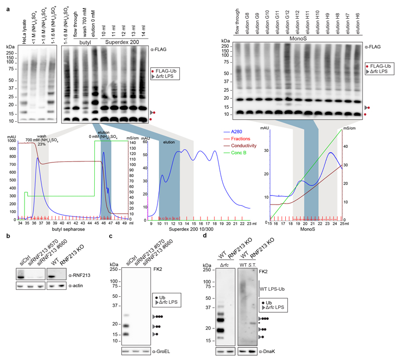 Extended Data Figure 2