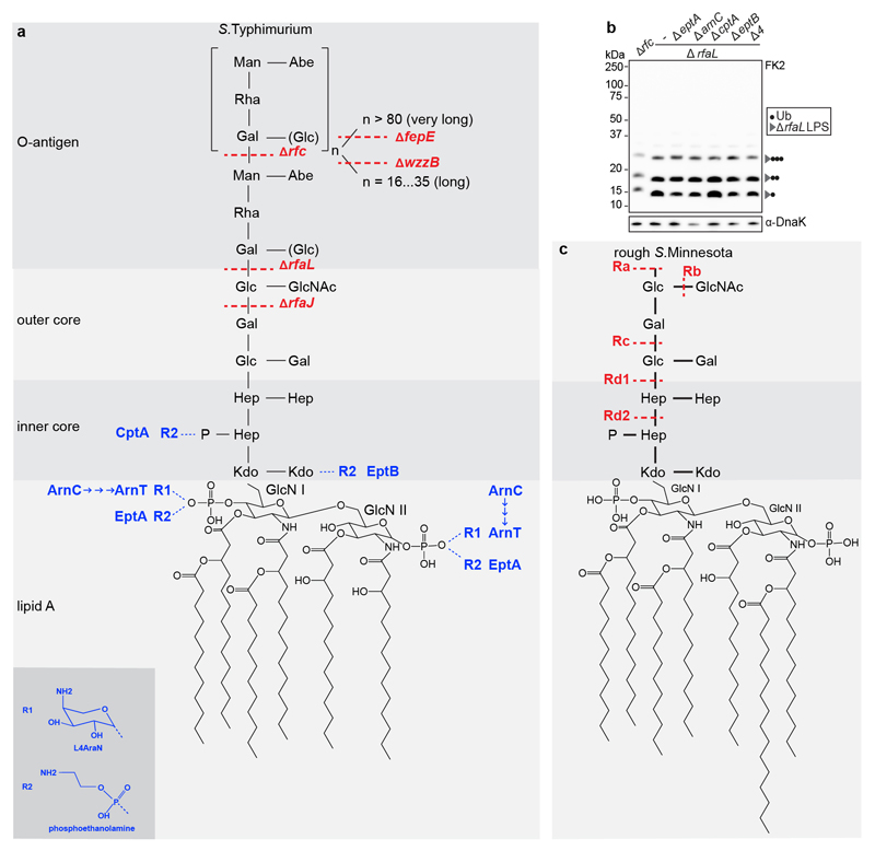 Extended Data Figure 1