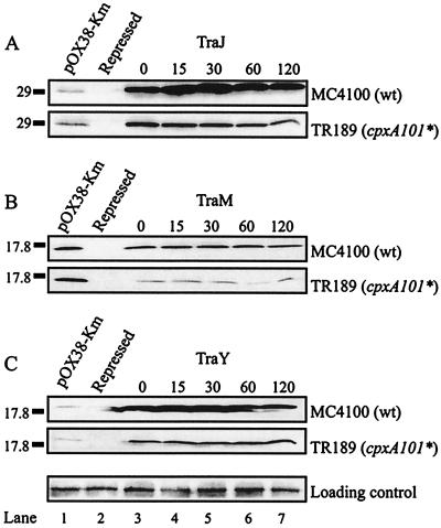 FIG. 5.