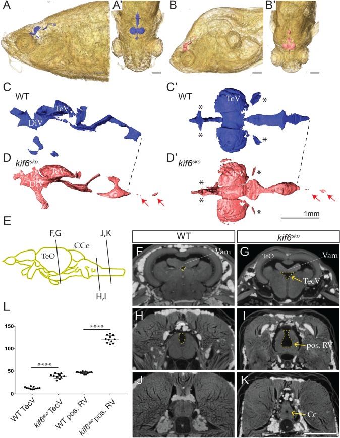 Fig 5