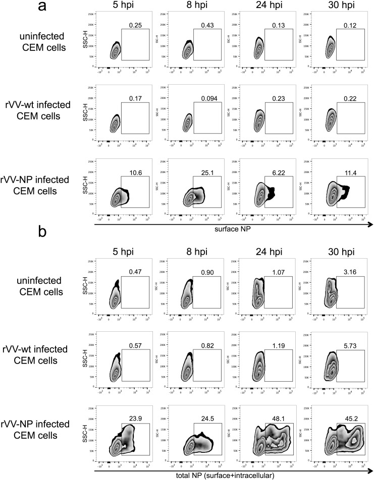 Supplementary Fig. 3