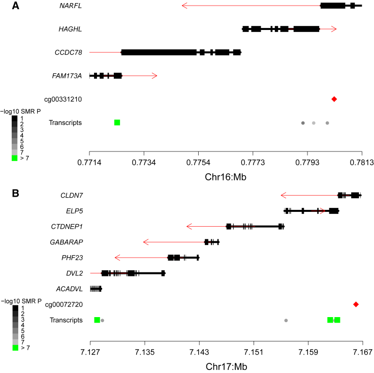 Figure 4