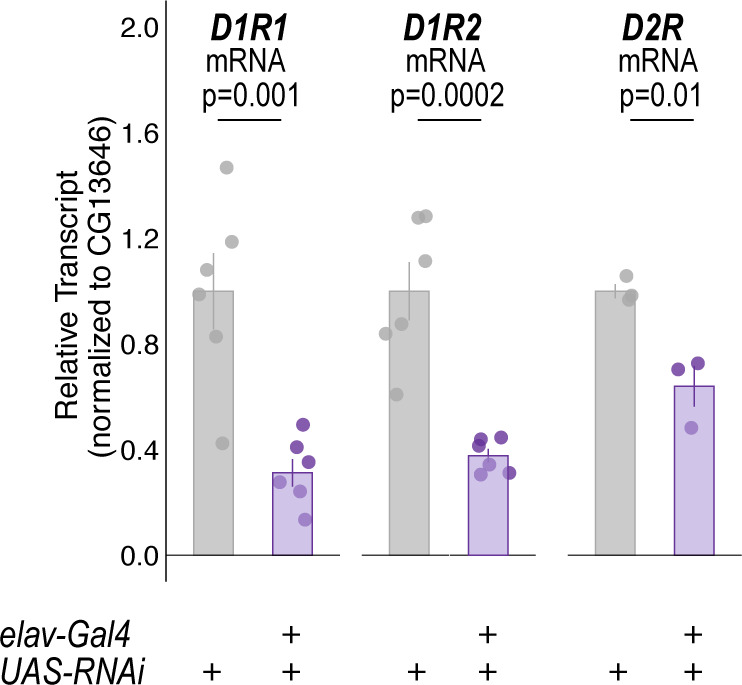 Figure 1—figure supplement 7.