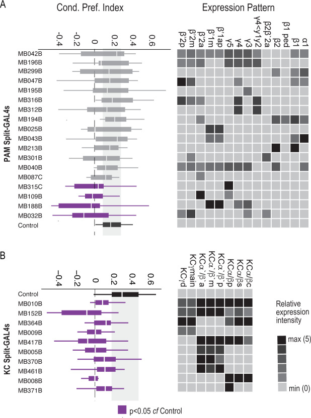 Figure 1—figure supplement 4.