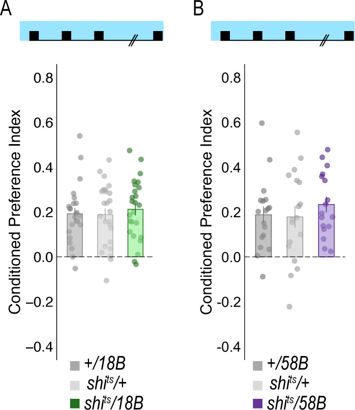 Figure 5—figure supplement 2.