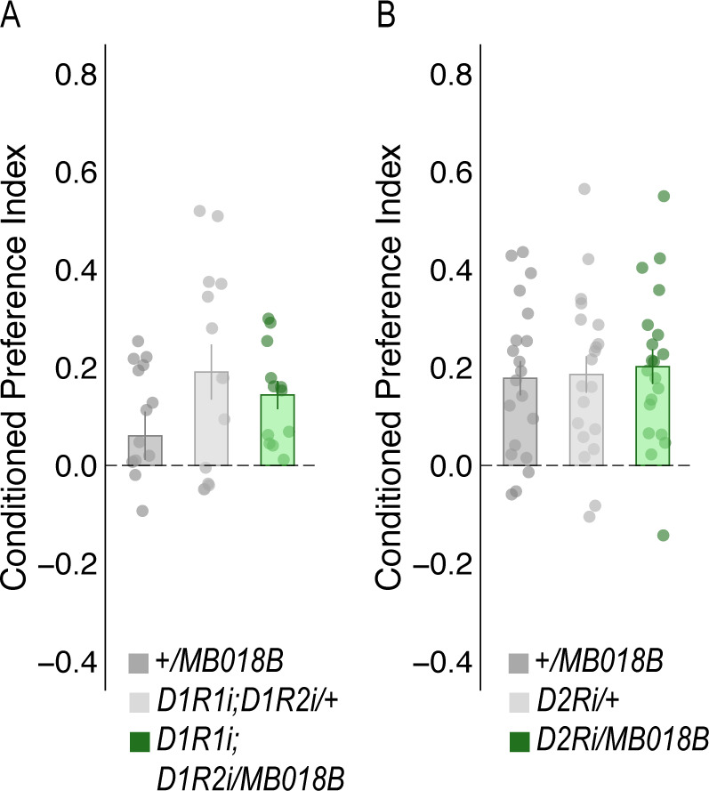 Figure 5—figure supplement 1.