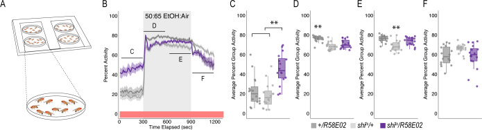 Figure 1—figure supplement 1.