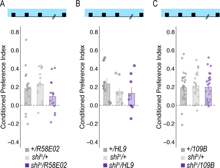 Figure 1—figure supplement 8.