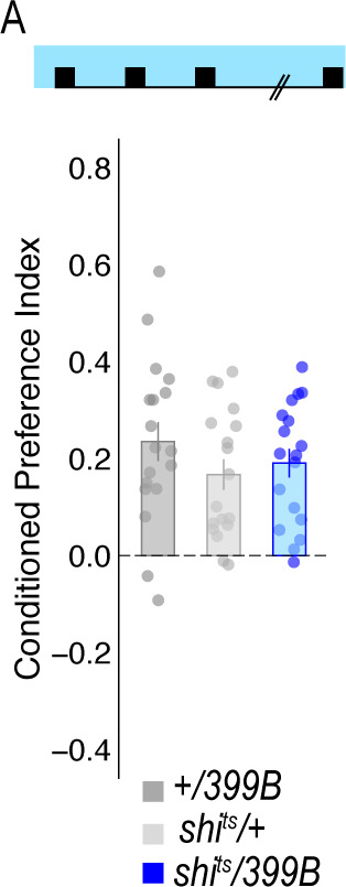 Figure 4—figure supplement 2.