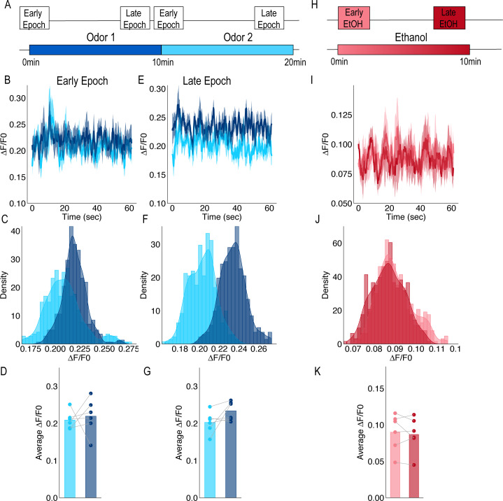 Figure 1—figure supplement 3.