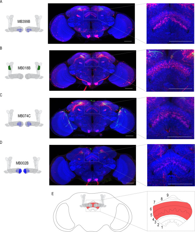 Figure 6.